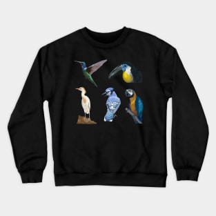 Five Bird Detailed Illustration Pack Crewneck Sweatshirt